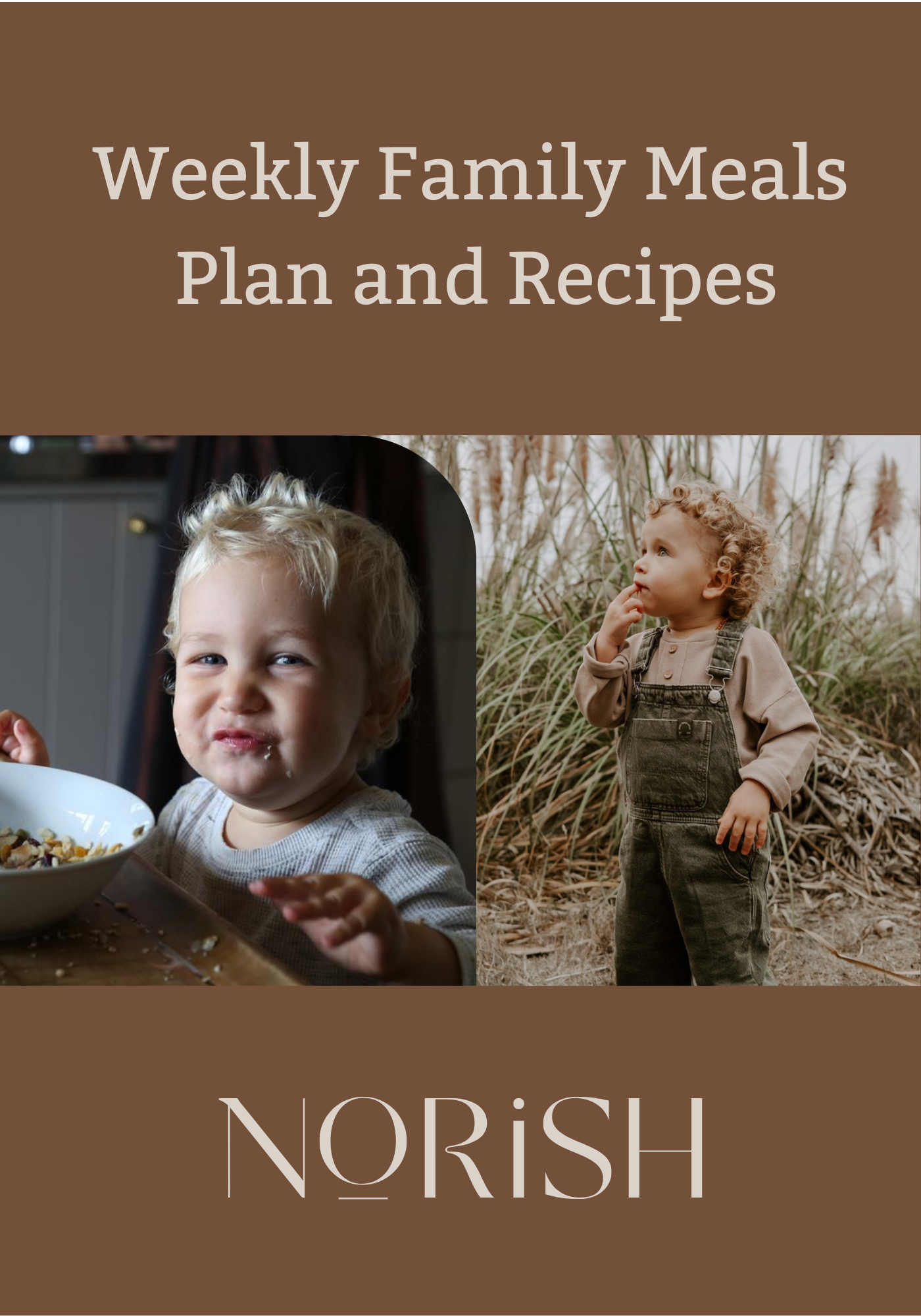 Weekly Family Meal Plan and Recipes